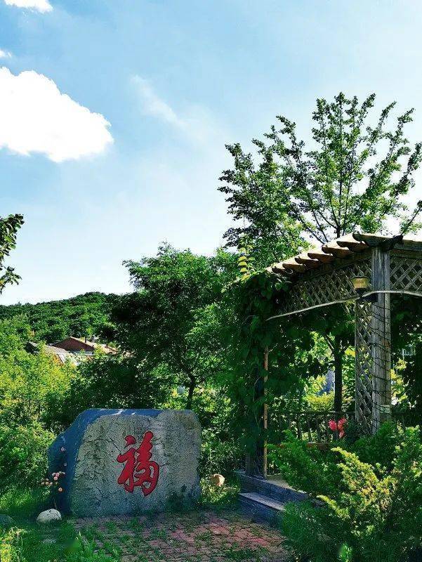 天气预报明日节目预告八点全新闻随手拍