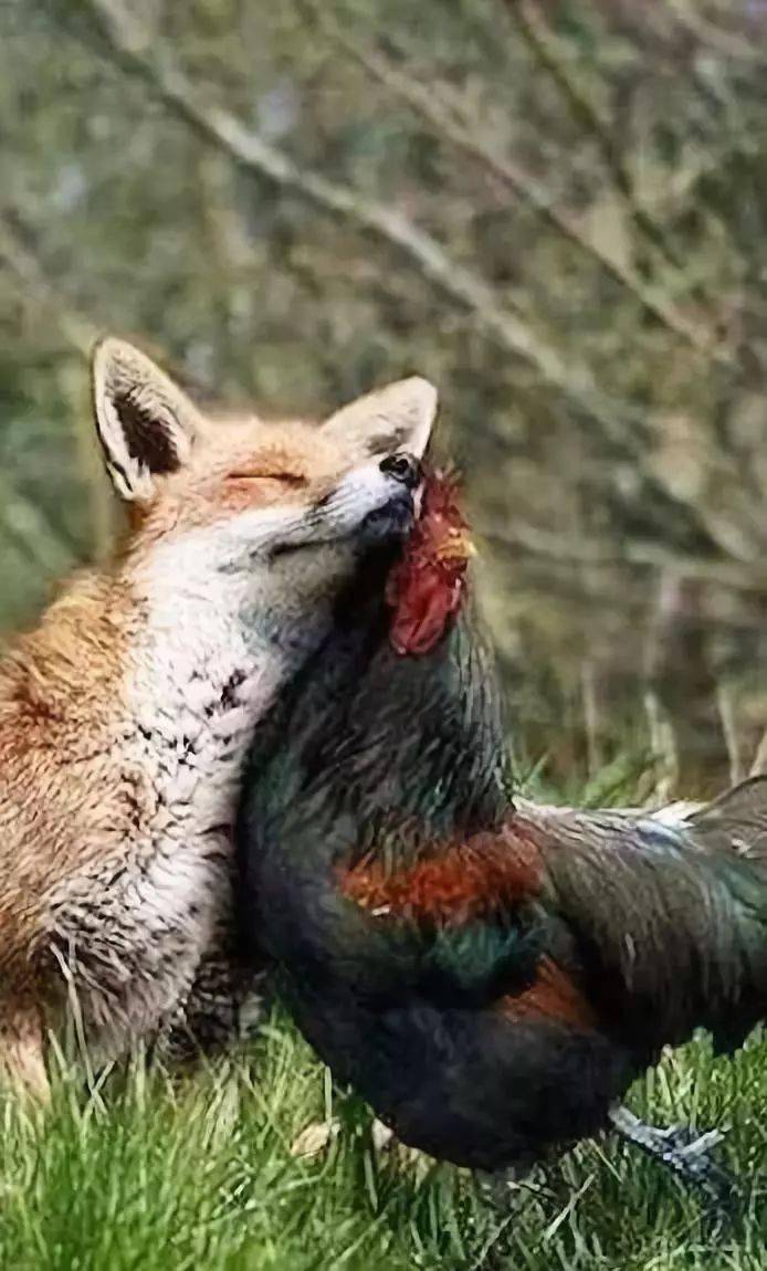 偷偷拍下的禽兽"爱"照,看完让人脸红..._妈妈