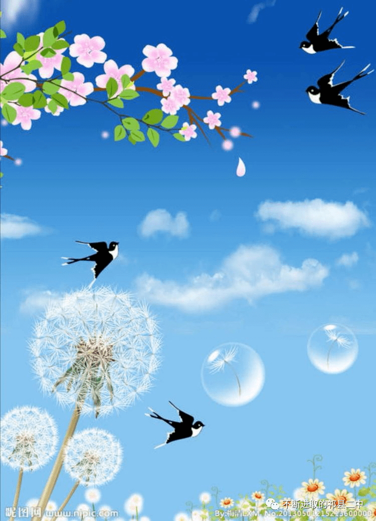 祁县二中教师原创美文赏析:燕燕于飞_燕子