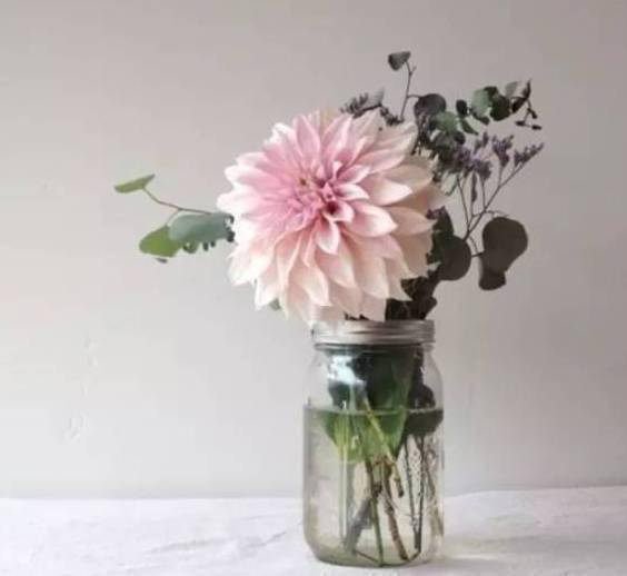 17种鲜切花养护大全 让夏日鲜花开的更持久 要点