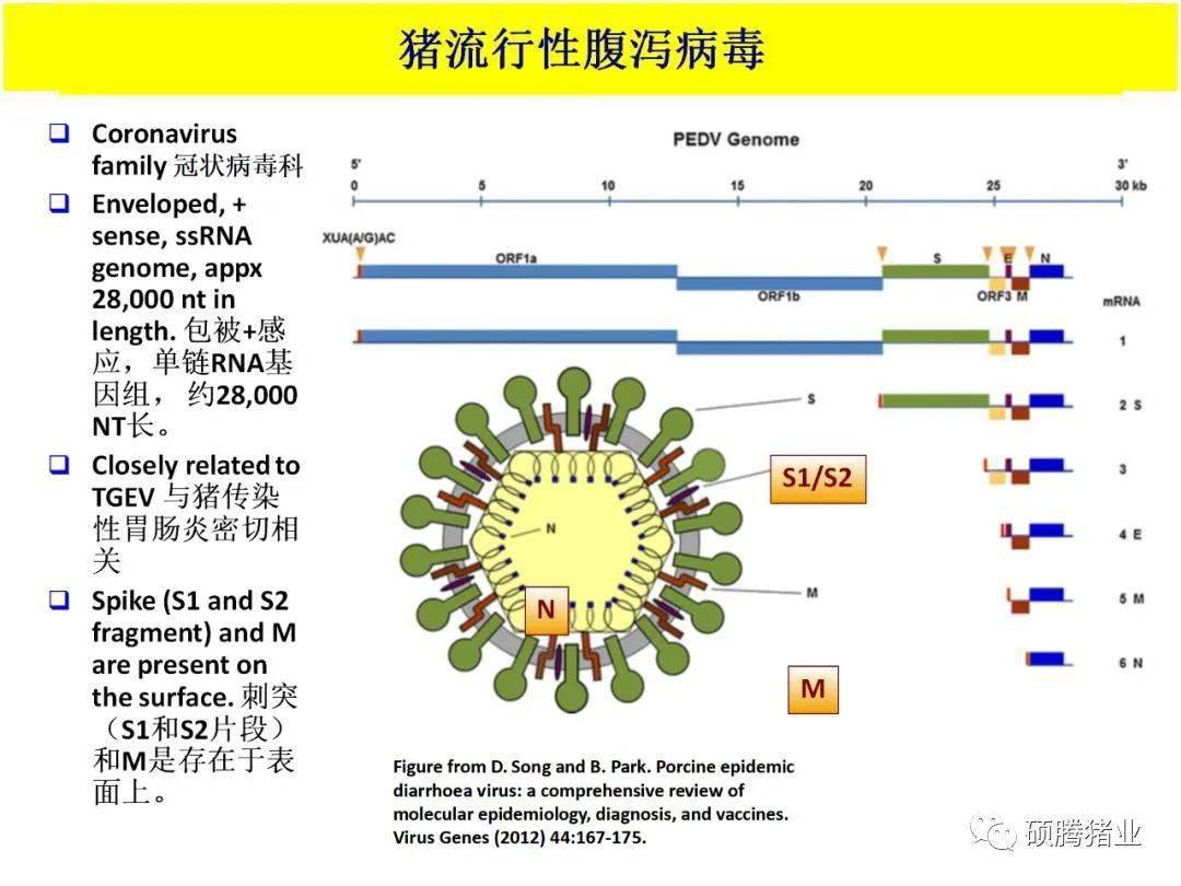 场员工感染新冠病毒应如何应急处理从ped中学到的知识适用于covid19