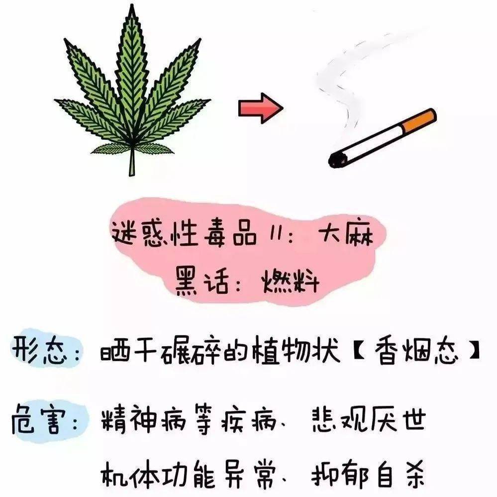 全民禁毒 