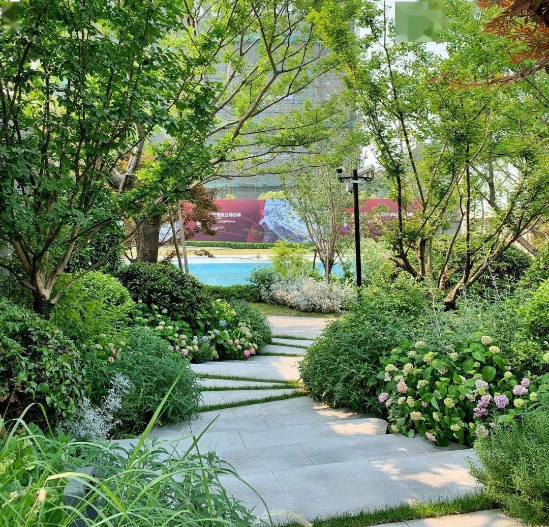 自然野趣以植物营造景观空间理事分享