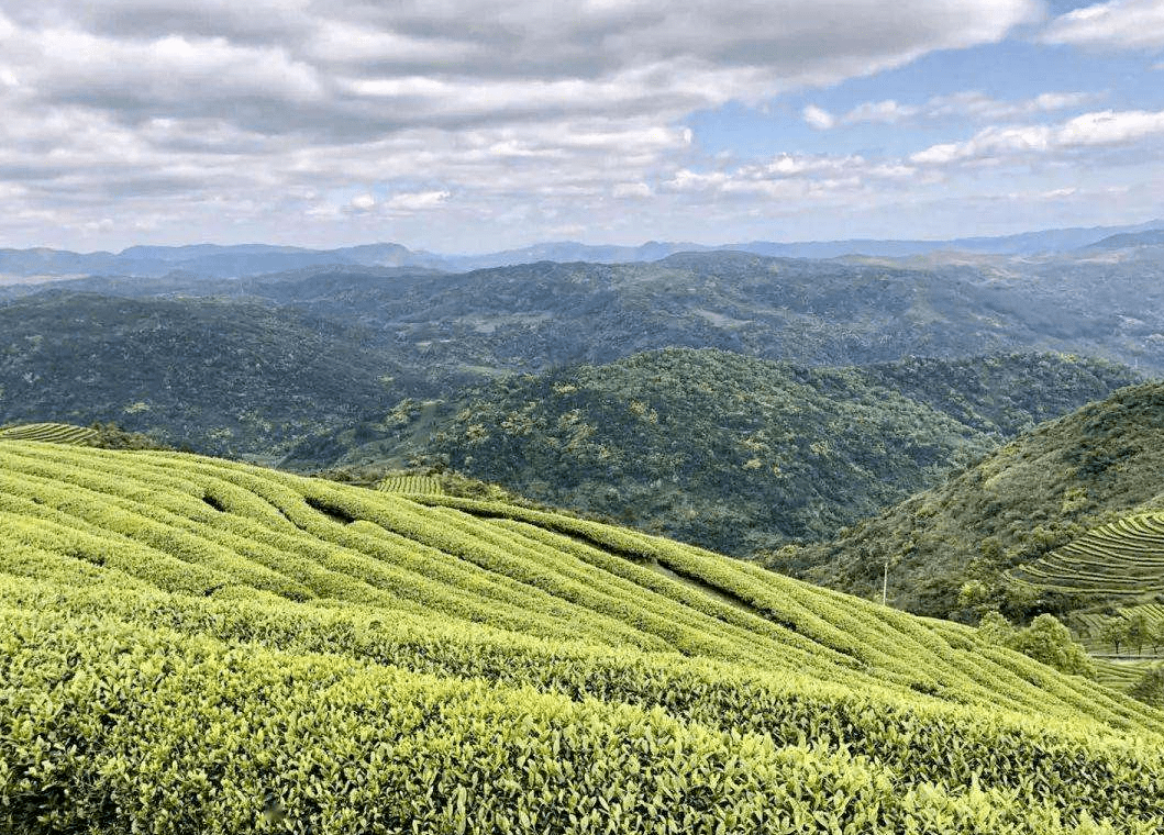 全體連江人連江爐峰山棧道建成開放逛雲上茶山尋紅色遺址