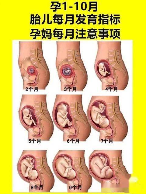 孕前必做的一些过程图片