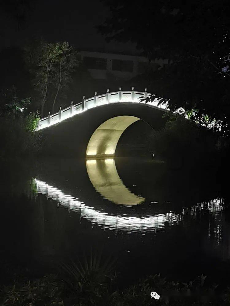 光影邳州|栗洪民:夏日的桃花岛