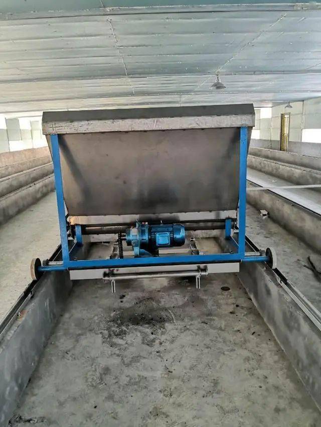 黑水虻养殖怎么样才能取得最大经济效益