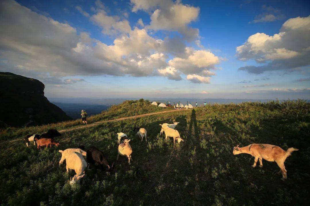 大美湖南 大美草原(五) | 龍山八面山草場——南方空中草原