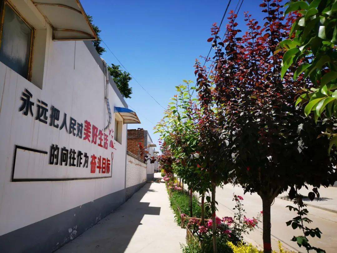 镇村书记讲述脱贫攻坚故事烂杆村的领路人白水县林皋镇许道村党总支