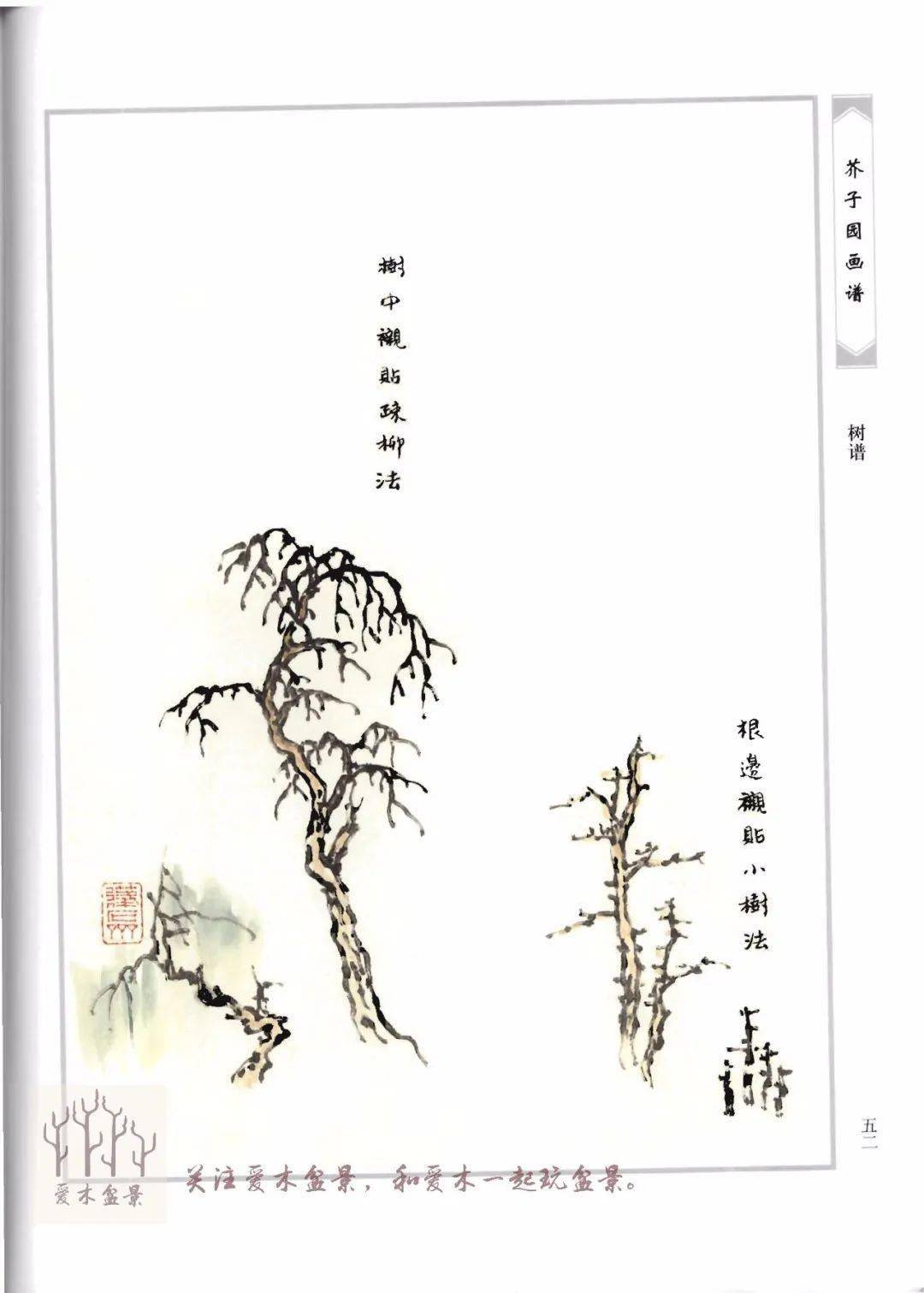 《芥子园画谱-树谱》分享3,不同树势和树叶的画法