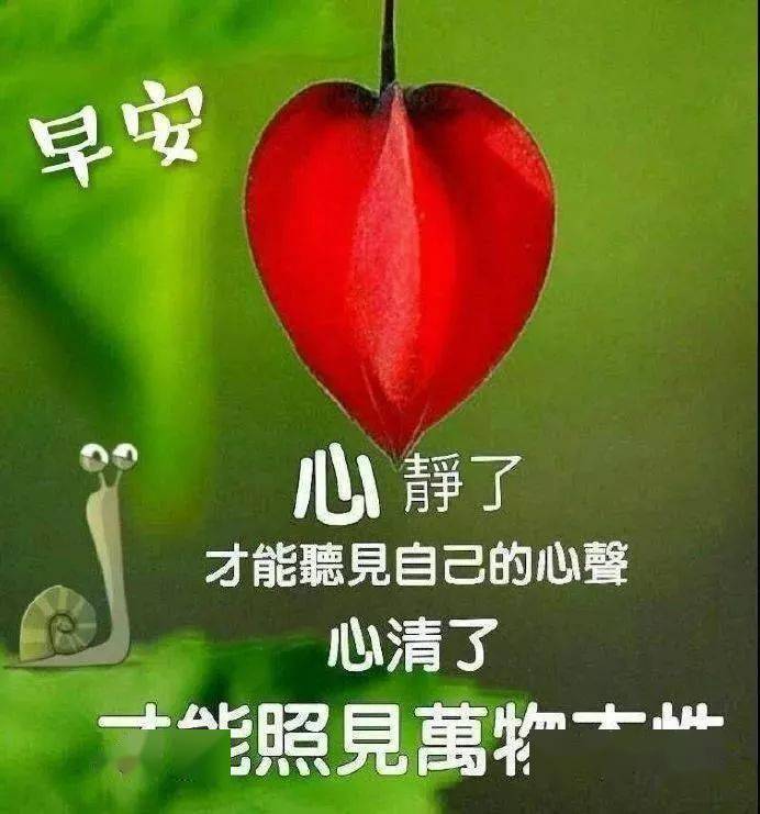 夏天問候大家早上好動態表情圖片鮮花帶字 問候早晨好祝福語短信圖片