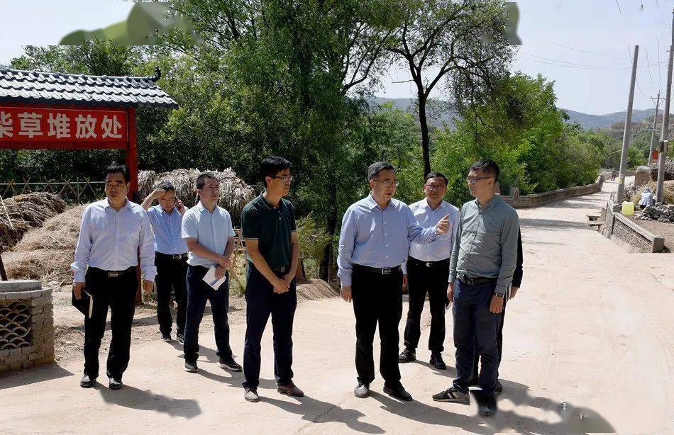 张智明督查调研琥珀镇人居环境综合整治工作