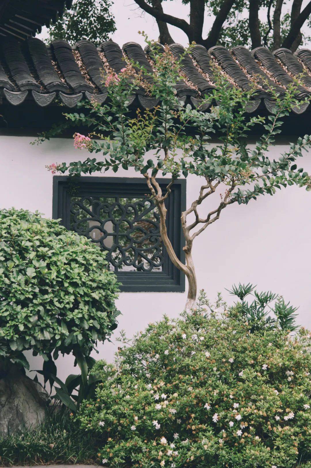 庭院深深深几许藏着一汪少女心事的传统院落