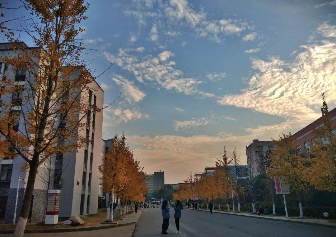 人气奖评选 | 印象江财·摄影摄像(二)