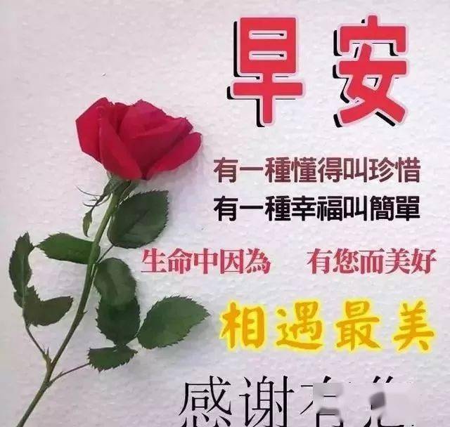 群发早安愉快动态祝福图片鲜花带字早安问候语温馨短句动态表情图片