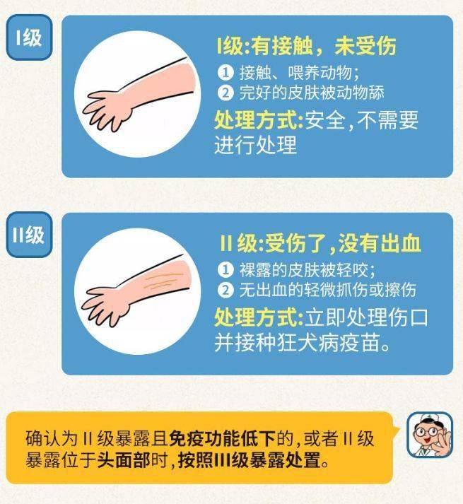 伤口分为三个等级,被咬伤后应到当地犬伤门诊或狂犬病暴露处置门诊