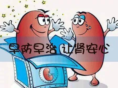 "肾"言"肾"语——肾的求救信号你要懂