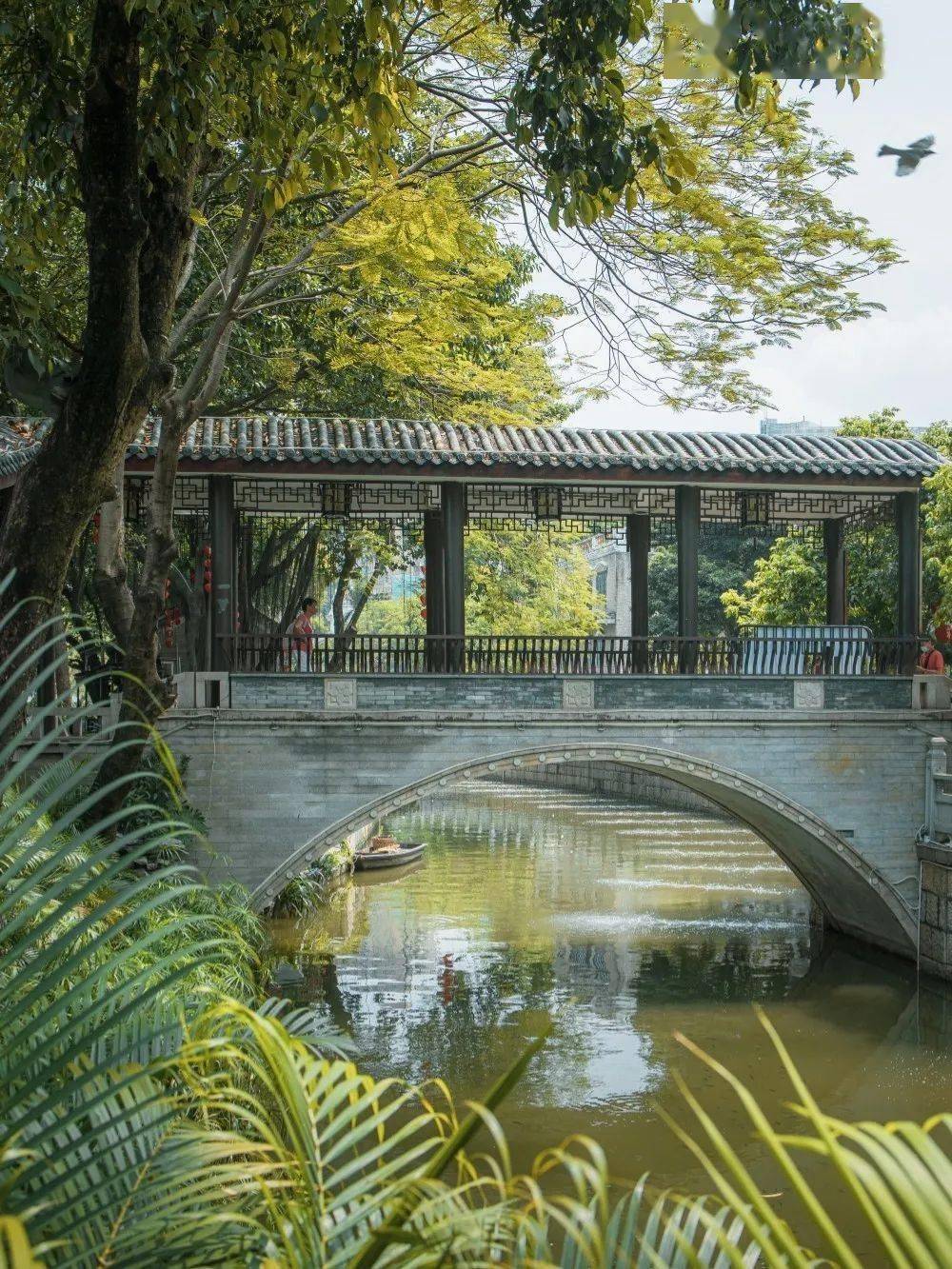 好久不见,千年古村——荔湾泮塘!