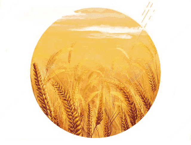 640_486gif 动态图 动图