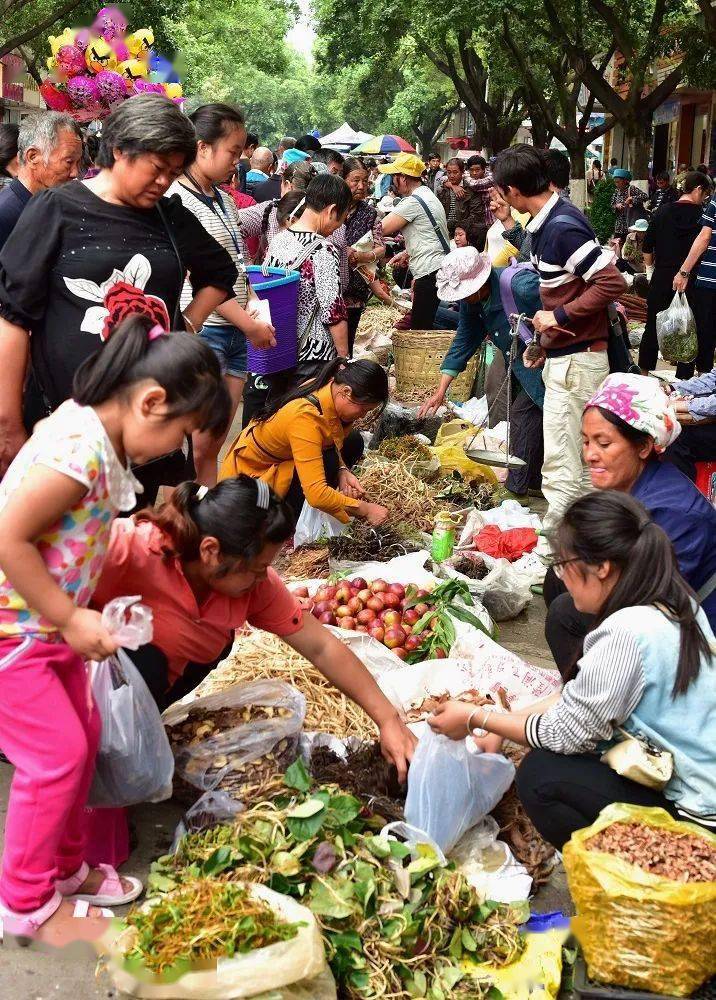 德昌县2020年端午文化主题摄影征稿启事