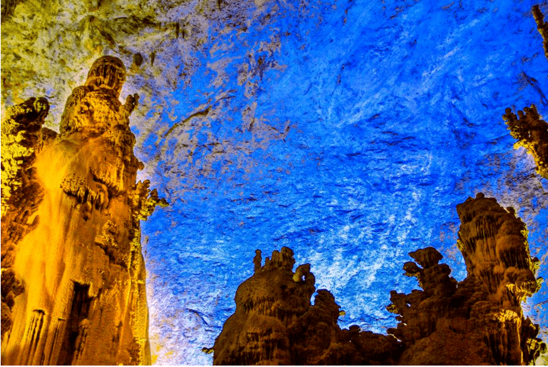 八郎村凯里生物群中的三叶虫化石
