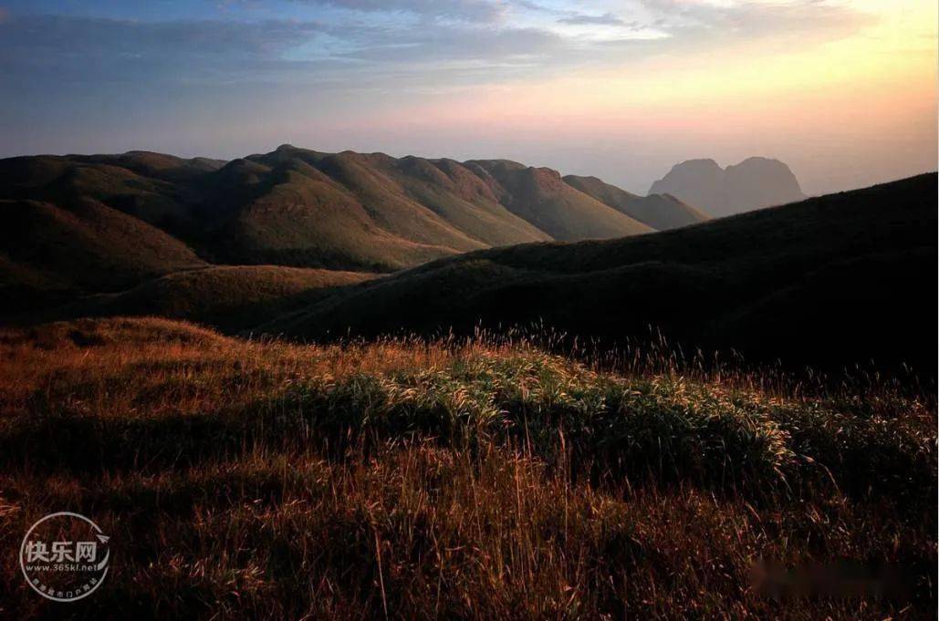 美极了贵港平天山顶惊现云海奇观