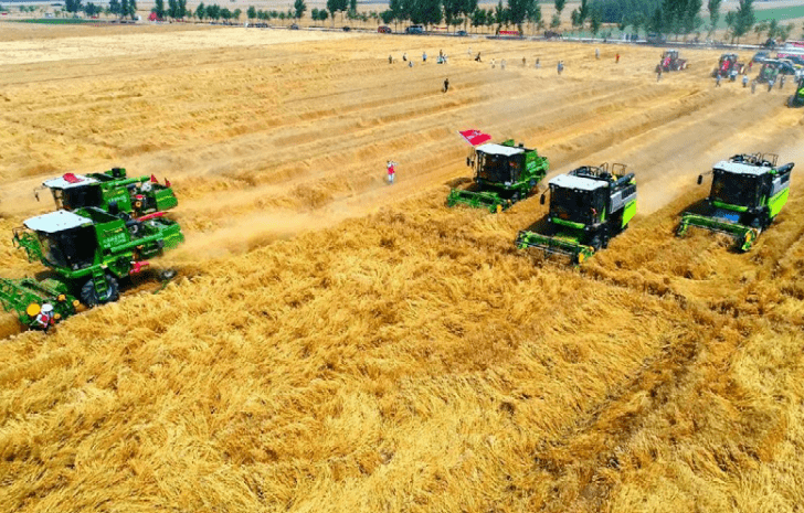 【精彩发言】张照新:农业社会化服务——政策与趋势