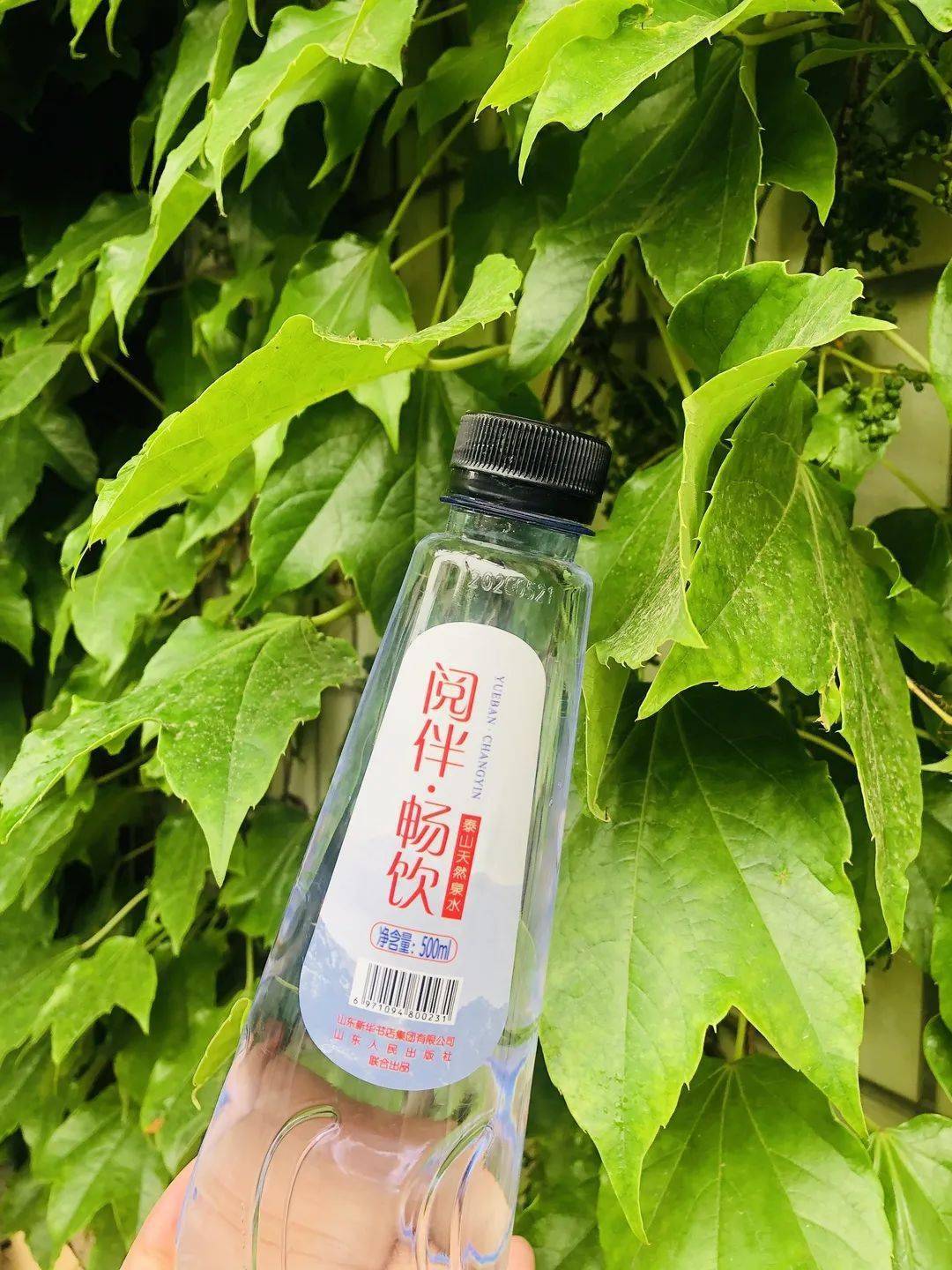 阅伴泰山天然泉水丨书香浸润阅读相伴沁人心脾欢迎订购