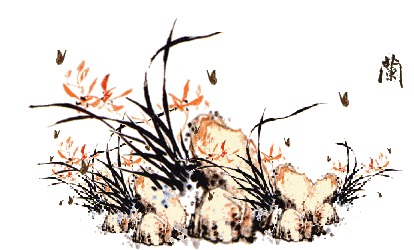 她要带你进入一个"花花世界"…_兰花