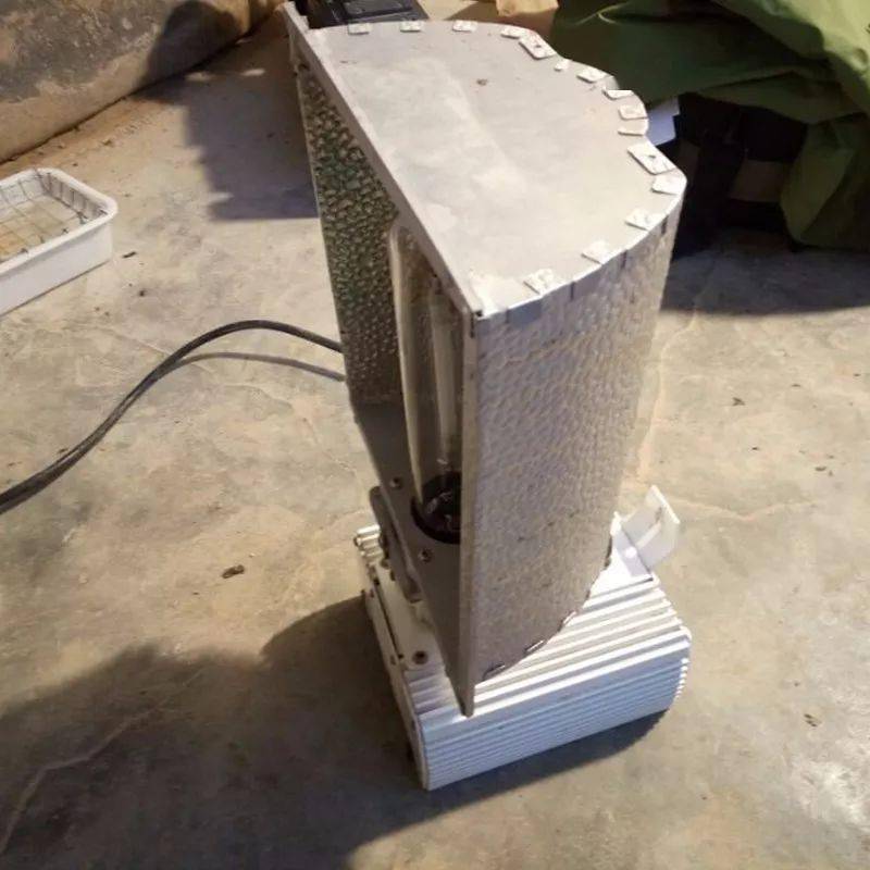 黑水虻养殖必备神器之———— 虻虫小太阳黑水虻养殖专用补光灯 end