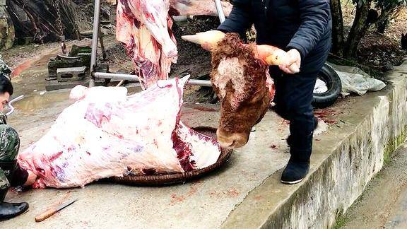 农村集市上现杀活牛500斤牛肉都不够卖2小时被抢光太厉害了