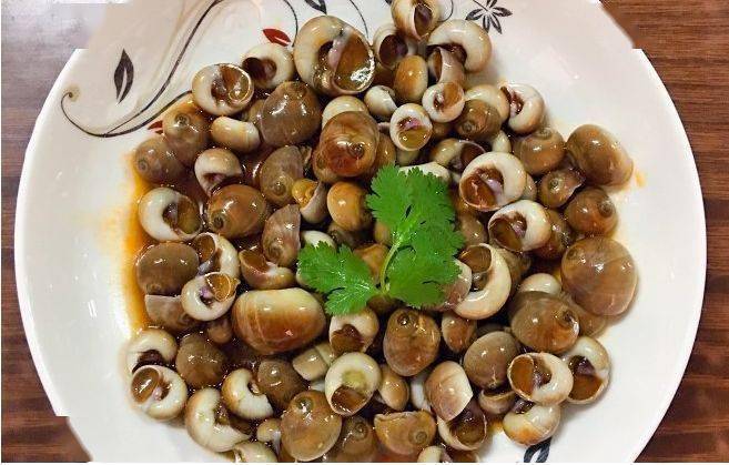 难熬的禁渔期普陀人全靠这盘螺拼续命