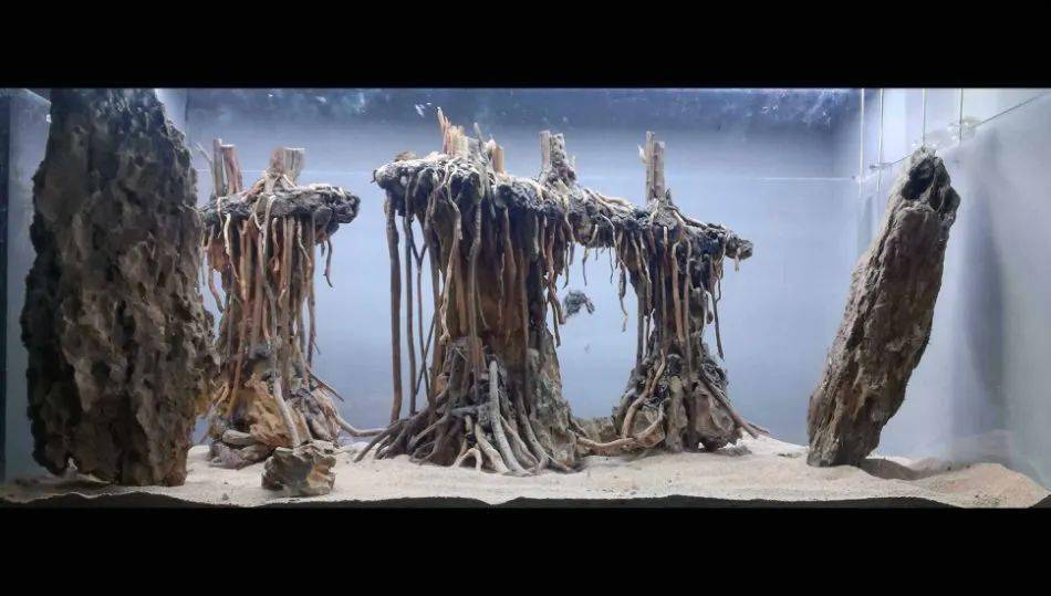 在构建骨架的过程历时4个月,用发泡胶贴松皮石与小松枝,是一个耗费