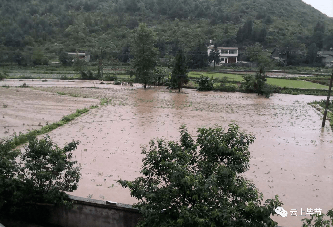 毕节多地遭受暴雨袭击相关部门积极展开应急救援工作