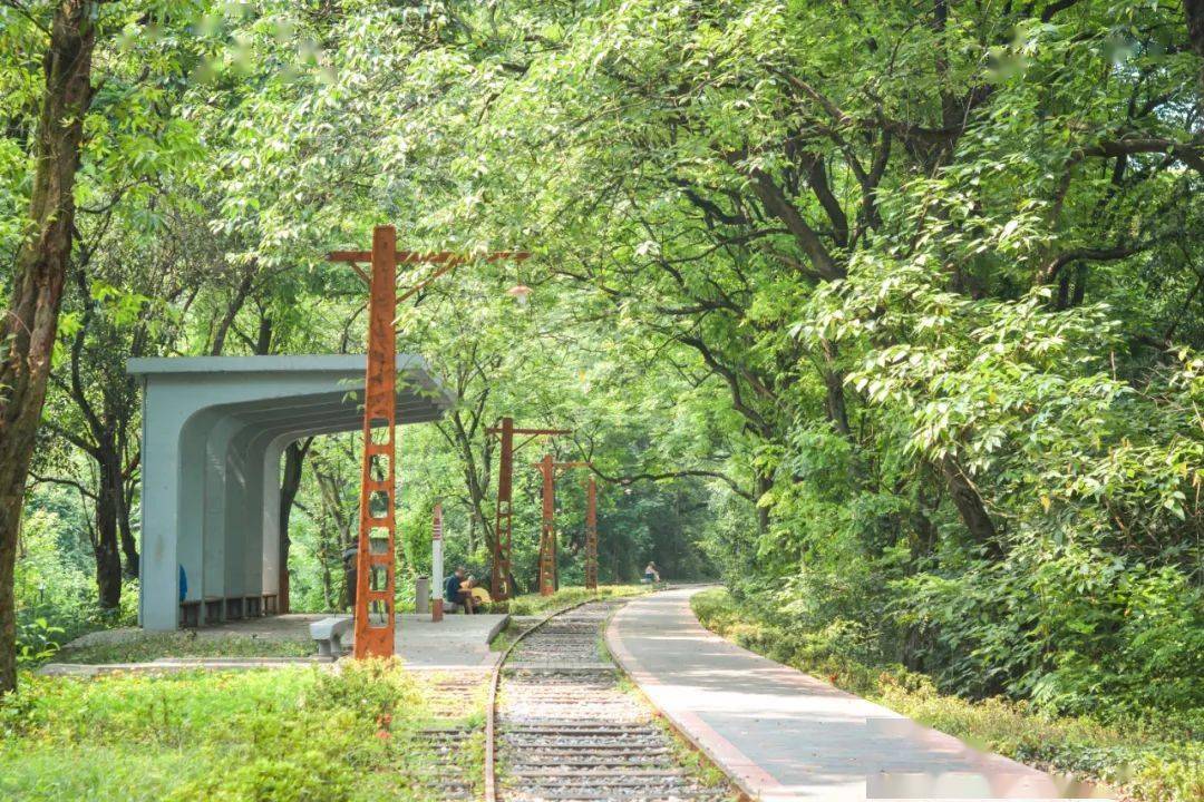 畢業3年,川外小鐵路