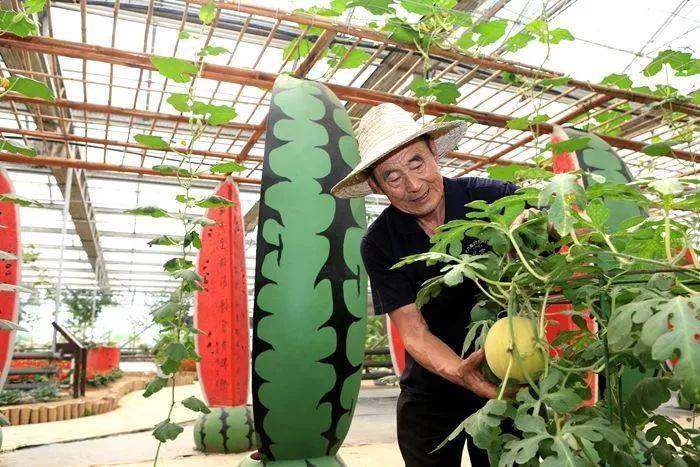 欢乐西瓜小镇——庞各庄镇 以西瓜为主, 该镇1995年获得 "中国西瓜之
