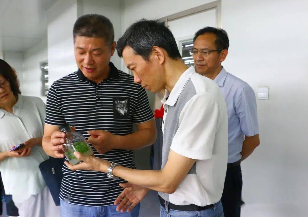 书记刘勤,县委副书记吕明跃,县委常委,统战部部长束洋波等陪同调研