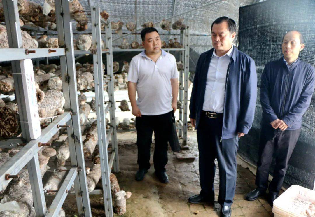 县委书记田来锁调研指导鹦鸽镇脱贫攻坚工作