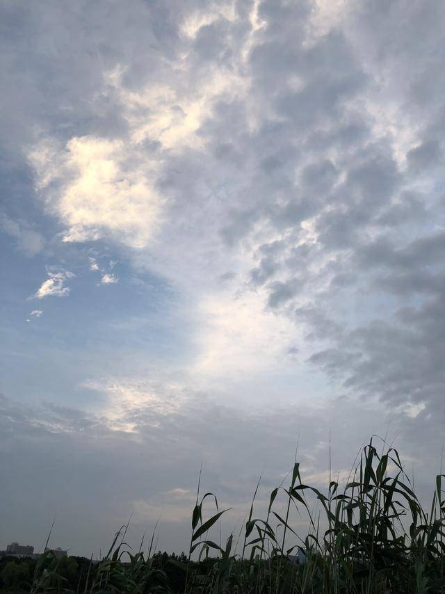 暴雨過後跑小魚換大物,失之東隅收之桑榆