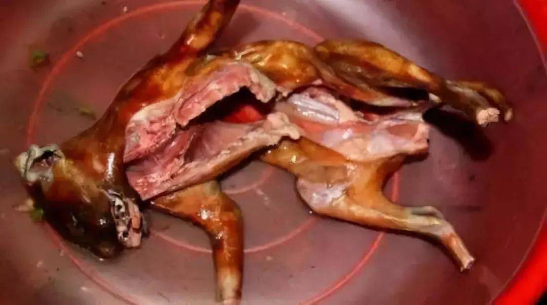 中国人什么都敢吃可为啥没有吃猫肉的习惯