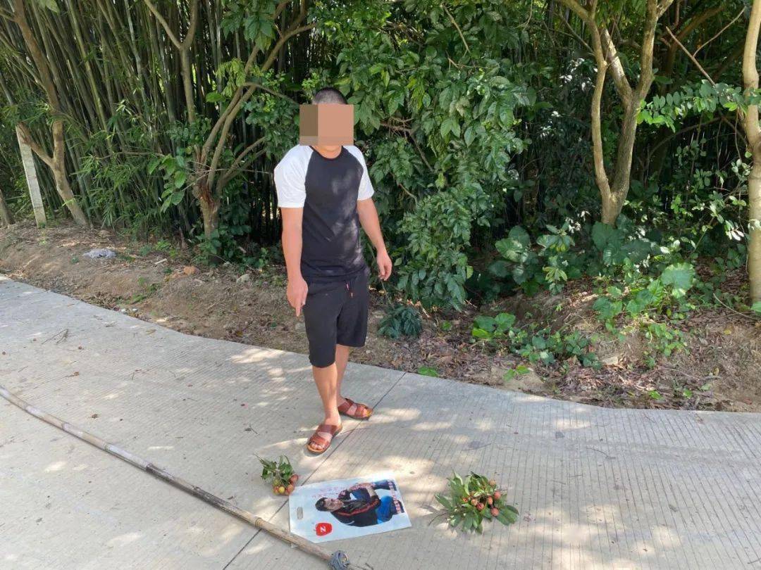 三角人注意已有7个人偷荔枝被抓了