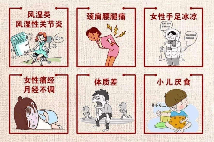 阳虚体质(畏寒怕冷),气虚体质(气短懒言,体倦乏力),免疫力下降等.