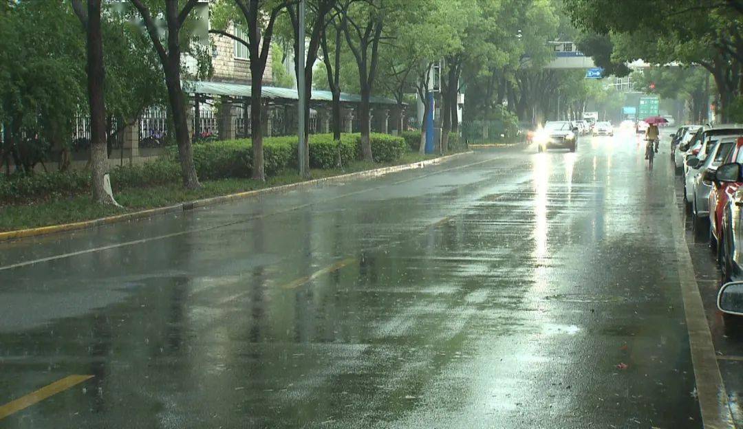 暴雨如注嘉定多部门合力维护城市安全有序运行雨天出行需注意