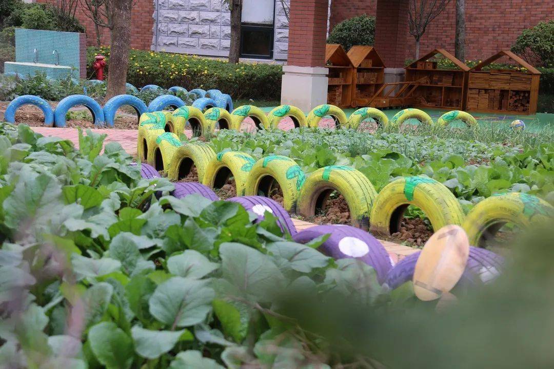 種植園養殖園遊樂園貴陽這個幼兒園要不要太齊全