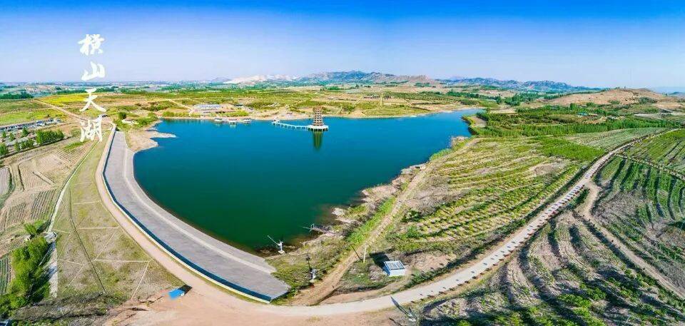 蓝莓熟了莒县横山天湖有机蓝莓采摘园就在