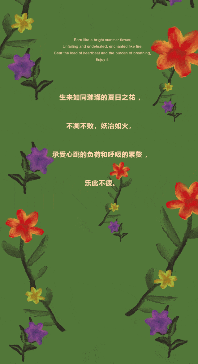 3f菀草壹夏上新生如夏花之绚烂