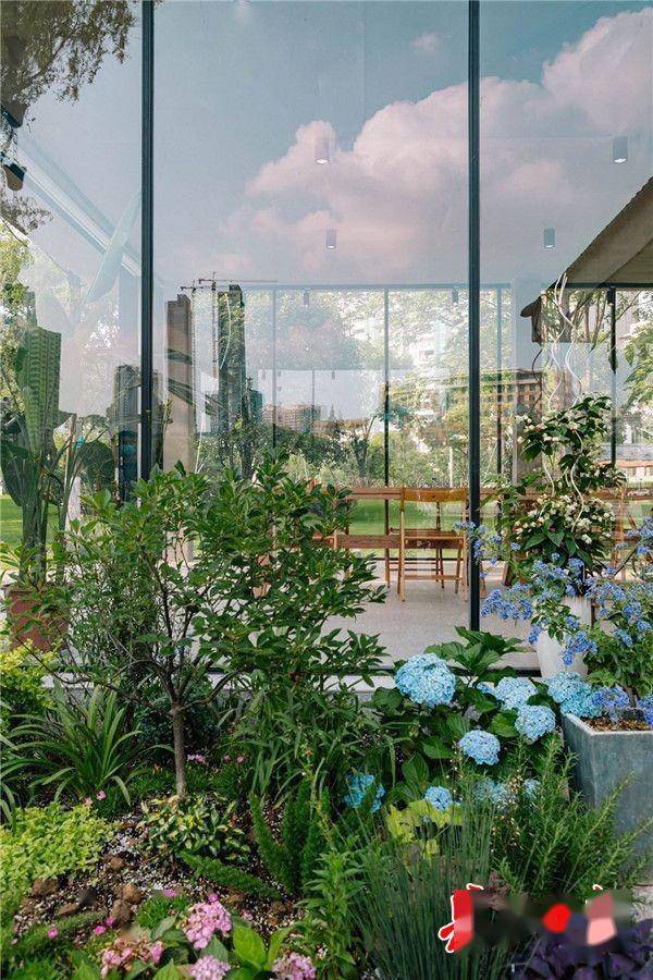 (图为德芭与彩虹博物书店玻璃墙外的绿植.