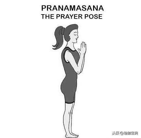 瑜伽体式之太阳致敬式第一式祈祷式pranamasana