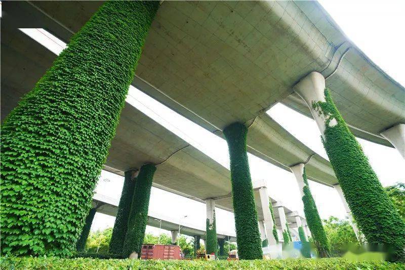 【广角】街头新添"避阴岛",高架桥柱换"新衣"