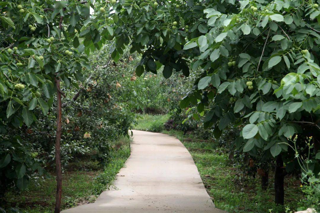 【昌黎文化行】两山乡:人间胜景正明山